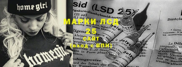 стаф Вяземский