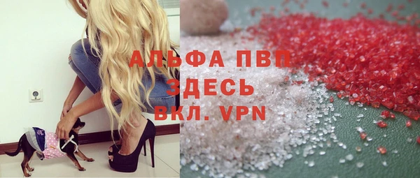 стаф Вяземский